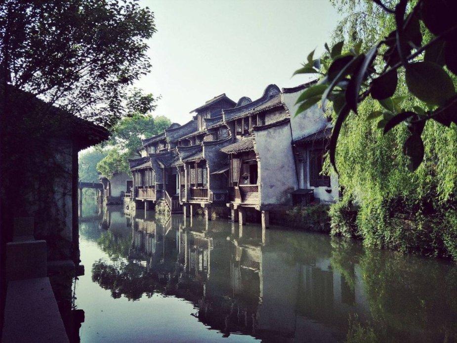 细胞分裂6